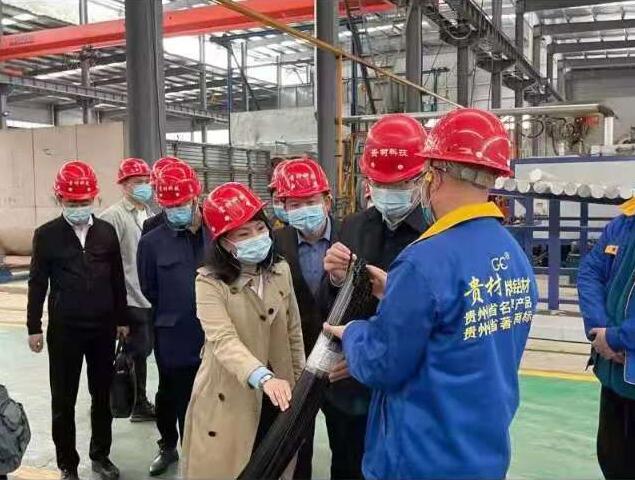 貴陽市常委、市工商聯(lián)、廣東總商會一行到我廠調(diào)研